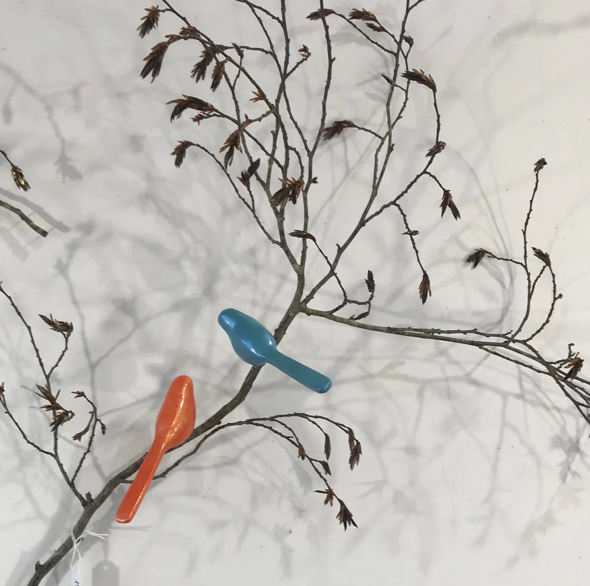 branche de charme avec oiseaux de couleur