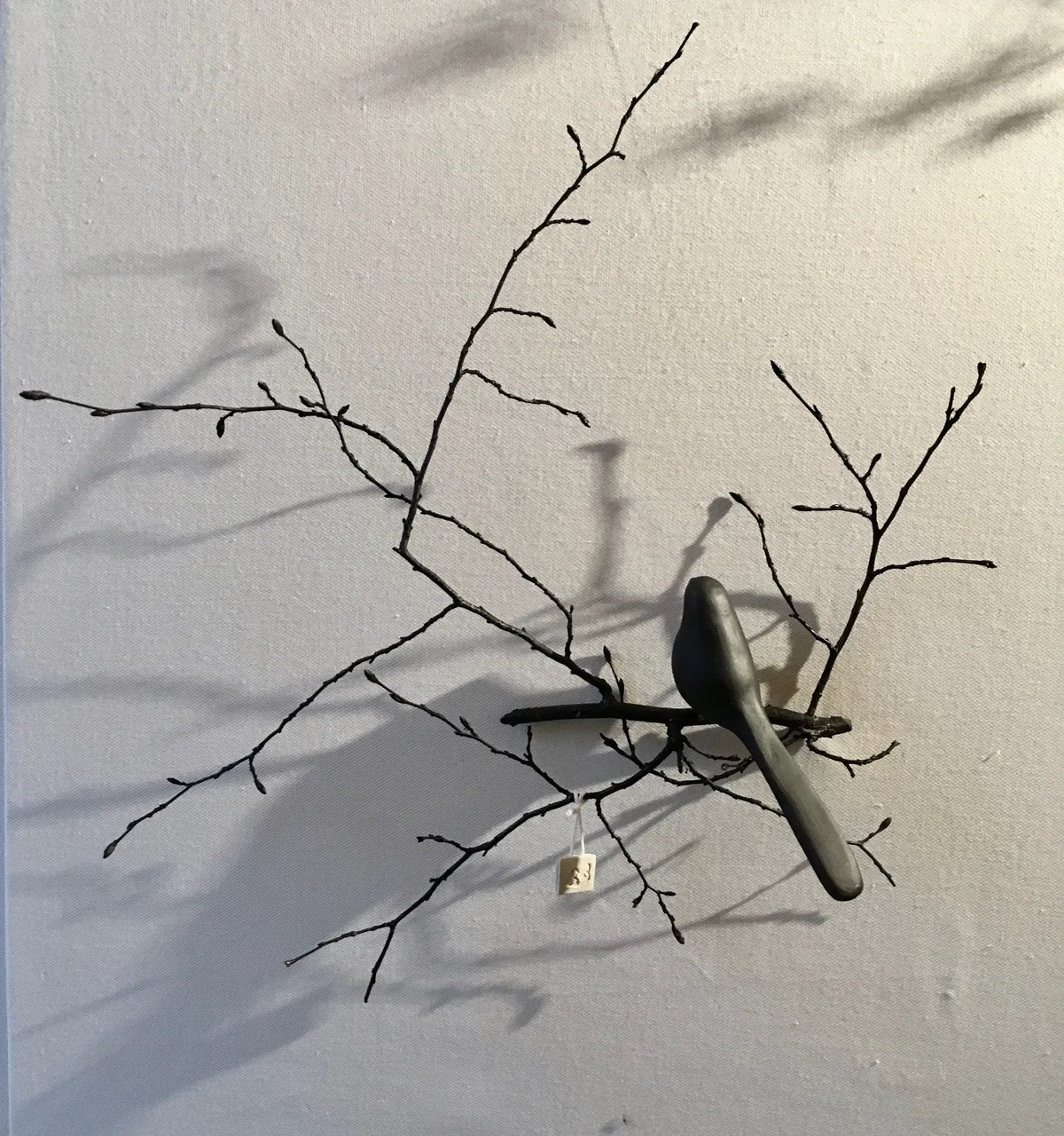 Branche de charme stabilisée graphique