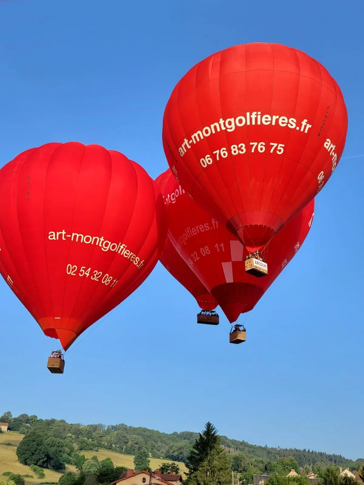 3 ballons d'Art Montgolfières dans les airs