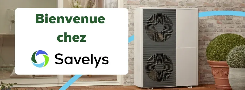 Savelys