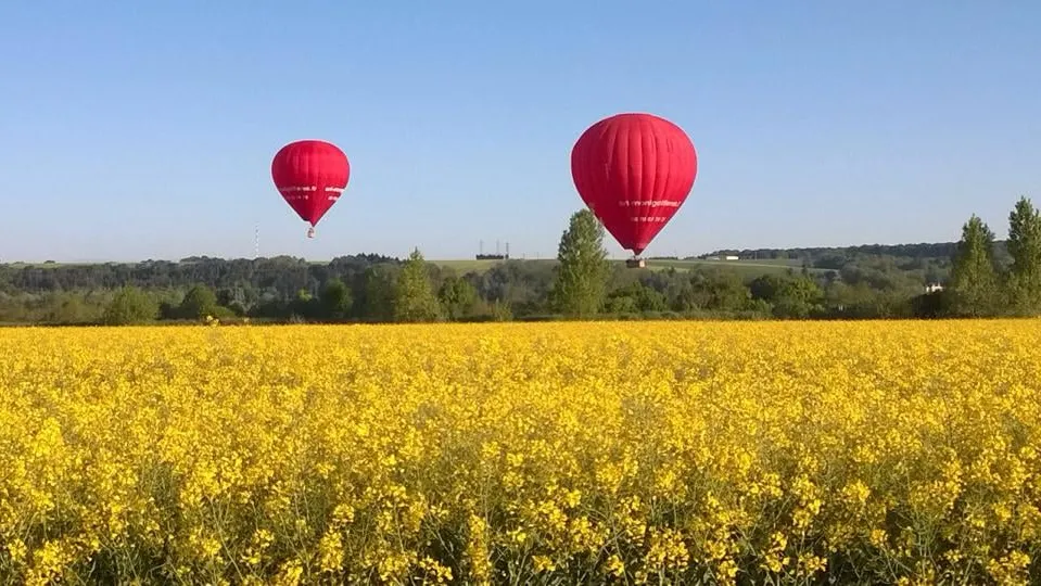 2 ballons d'Art Montgolfières au dessus des champs de colza en fleurs