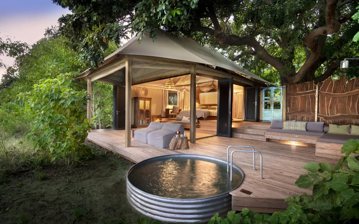 Nyamatusi Mana Pools Zazu Voyage