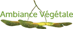 Logo AMBIANCE VEGETALE