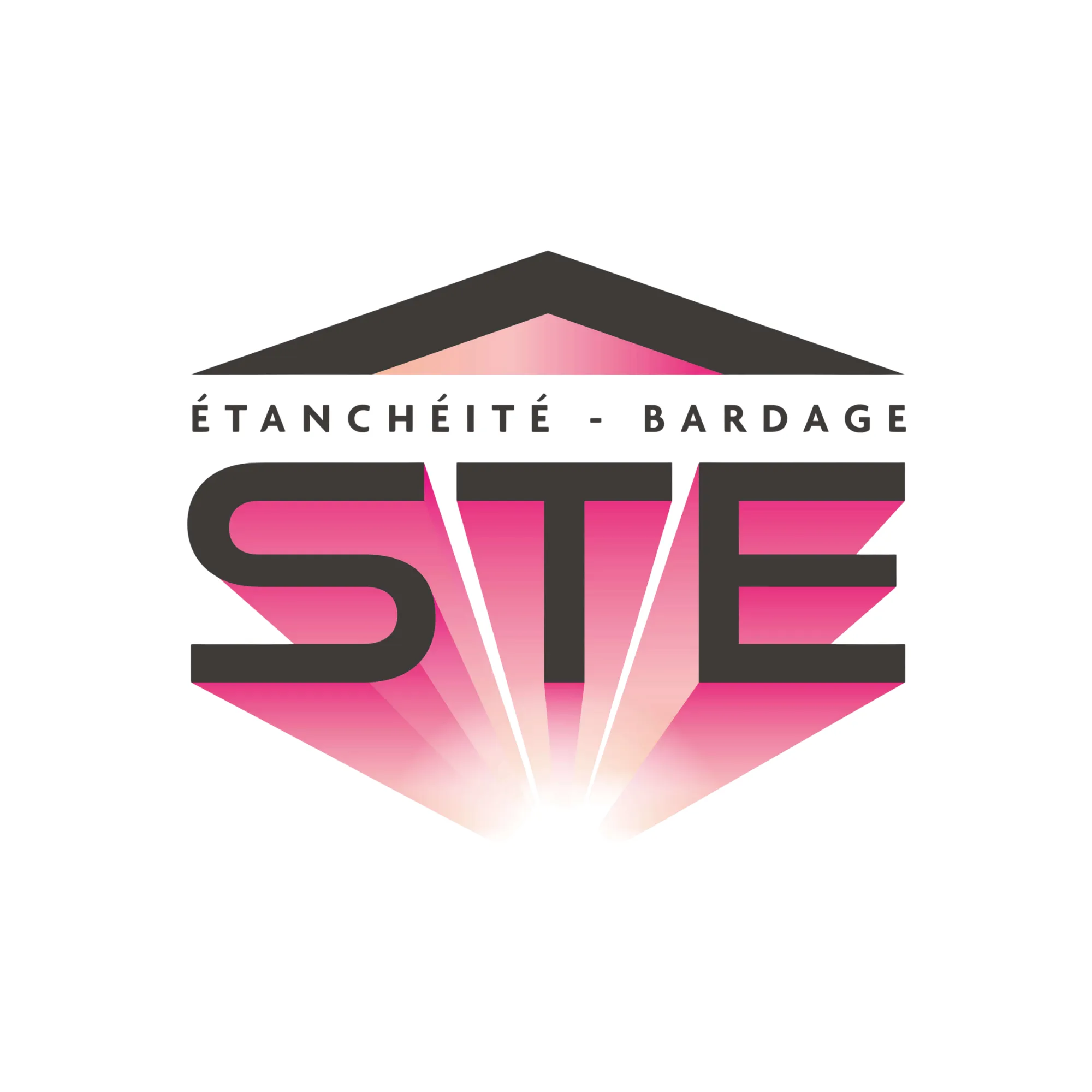 Logo STE