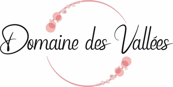 Logo DOMAINE DES VALLEES